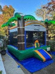 314464494 668069278183849 2040782059510010951 n 1667768253 13x13 Jungle Bounce House