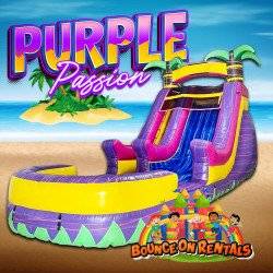 15ft Purple Passion Slide WET