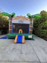 IMG 2017 1684453082 13x13 Jungle Bounce House