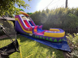 IMG 5901 1745560898 15ft Purple Passion Slide