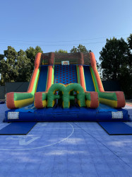20ft Tall Rock Climb Dual Slide