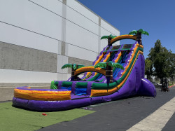 22ft Dual Lane Purple Crush