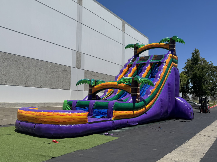 22ft Dual Lane Purple Crush