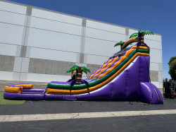IMG 7876202 1754165009 22ft Dual Lane Purple Crush