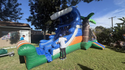 Tropical Wave Combo IMG 1097 1771822084 Tropical Wave Combo