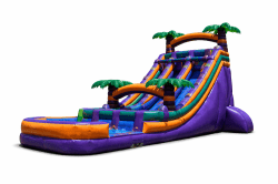 22ft Dual Lane Purple Crush Wet