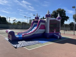 IMG 0148202 1731268251 Pink & Purple Combo