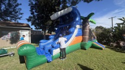 IMG 1097 1771822084 Tropical Wave Combo