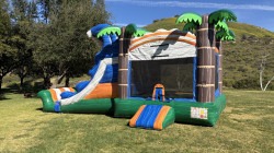 IMG 1114 1771822083 Tropical Wave Combo