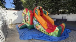 IMG 1194 1773508410 Toddler Jungle Combo