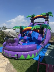 IMG 2394 1757711527 15ft Dolphin Slide WET