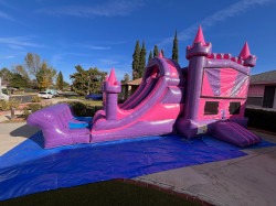 IMG 3719 1705621544 1 Princess Paradise Combo