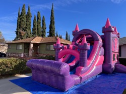 IMG 3720 1705621544 1 Princess Paradise Combo