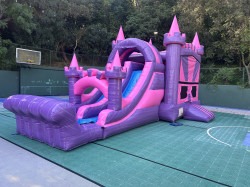 Princess Paradise Combo IMG 3917 1773598161 Princess Paradise Combo