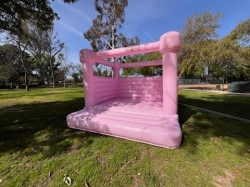 IMG 5041 1710014361 13x13 Pink Castle