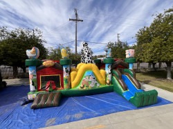 IMG 6500 1730329134 Toddler Animal Farm Combo