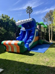 IMG 8582 1742666383 Tropical Wave Combo