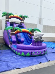 IMG 8879 1745522855 15ft Dolphin Slide WET