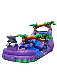 IMG 8883 1745522855 15ft Dolphin Slide WET