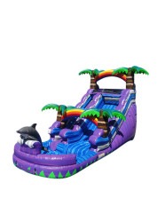 15ft Dolphin Slide WET