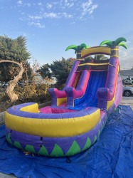 IMG 9710 1745560897 1 15ft Purple Passion Slide