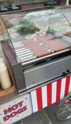 IMG 9801 1752367533 Hot Dog Station