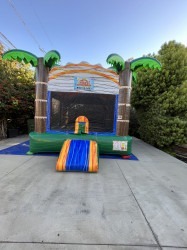 IMG 2017 1684453082 13x13 Jungle Bounce House