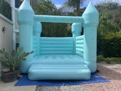 IMG 4098 1775244711 Tiffany Blue Castle