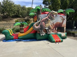 IMG 4102 1775248147 1 DINOSAUR COMBO