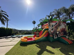 IMG 5943 1751583967 Dinosaur Combo WET