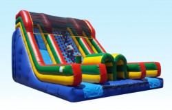 20ft Tall Rock Climb Dual Slide