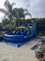 IMG 4461 1780079536 15ft Dual Lane Zuma Waterslide WET