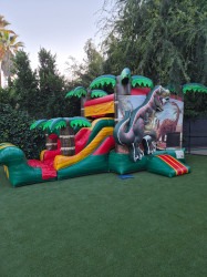 52132 1782143650 DINOSAUR COMBO