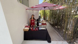 IMG 1919 1781205905 Snow Cone Station
