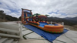IMG 2018 1781924131 20ft Tropical Paradise Slide with attached Slip & Slide