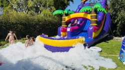 IMG 5260 1780597487 18ft Purple Jungle Slide WET